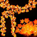 Miniatyrbillede 5 af 5: Efterårsdekoration 20 LED Kunstige Blade Maple Leaf Faldende Lysstreng Dekoration Halloween Jul