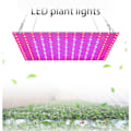 Pikkukuva 3 / 5: LED-kasvilamppu 2000W Täyspektrinen Hydroponinen Kasvatuslamppu