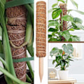 Miniatyrbild 4 av 5: Mosspåle för Monstera-växter, Böjbar Växtpåle, Växtstöd för Inomhuskrukor, 45' Kokosfiberpåle Växtstöd för Sphagnum-Xin