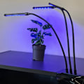 Miniatyrbillede 3 af 4: Justerbar plantelampe - LED, Timer Sort-WELLNGS sort