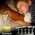 Miniatyrbillede 4 af 5: REMAKE WJ Fodbold Natlys til Børn, 3D Optisk Illusion Stemningsbelysning 16 Farver LED Dæmpbar med Fjernbetjening Værelse Fodbold Dekoration Messi