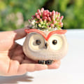 Miniatyrbild 5 av 5: Keramisk tecknad uggla blomkruka mini söt djurformad blomkruka suckulent växt