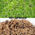 Miniatyrbillede 3 af 5: Sphagnum Mos Pottejord til Kødædende Planter, Husorkidé, Sarracenia, Kandeplanter & Mere, Helt Naturlig (1qt)