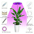 Miniatyrbillede 5 af 5: Justerbar plantelampe med 72 LED'er - 360° rækkevidde, timer og flere tilstande til indendørs planter - Vokse!