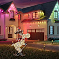 Miniatyrbillede 5 af 5: REMAKE Udendørs Julefigur LED Ski-Elg Havedekoration Stikkontakt Timer