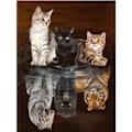 Miniatyrbillede 1 af 4: REMAKE 30x40cm 5D DIY Diamantmaleri Fuld, Dyr, DIY Diamant Rhinestone