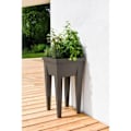 Miniatyrbillede 3 af 4: VEG VEGENABLE Område & Bord URBAN TAUPE - L38,5 X D38,5 X H68 cm - 4 Evakueringsskabsbilleder - EDA