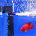 Miniatyrbillede 1 af 5: REMAKE 3 i 1 Silent Luftning Vandrenser Intern Pumpe Nedsænkelig Akvarium Filter Oxygen Pumpe Nedsænkelig