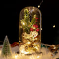 Miniatyrbilde 4 av 5: Glasskål juleplanter julepynt Glasskål