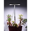 Miniatyrbild 4 av 5: Växtlampa LED Fullspektrum Inomhusväxter 2-pack