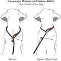 Miniatyrbilde 4 av 5: REMAKE Hundekobbel, for store, mellomstore hunder og små valper style 4