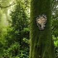 Miniatyrbillede 4 af 5: Havefigur til haven - Træomfavnende mand i resin - Dekoration til haven