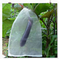 Miniatyrbillede 5 af 5: Net til plantebeskyttelse i haven - grøntsagsnet, beskyttelsesnet mod insekter og fugle (20 stk., 35 * 25 cm) Sunmostar