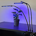 Miniatyrbild 3 av 4: Justerbar växtlampa - LED, Timer svart
