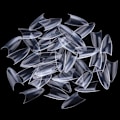 Miniatyrbillede 5 af 5: 500 stk. negletipper stiletto tipper falske negle negletipper