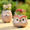 Miniatyrbild 4 av 5: Keramisk tecknad uggla blomkruka mini söt djurformad blomkruka suckulent växt