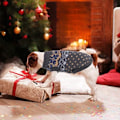 Miniatyrbillede 3 af 5: Varm Vinter Hund/Kattesweater, Behagelig Dyrejakke, Hvalpebukser, Killingebukser, Dyreklæder til Små, Mellemstore og Store Hunde og Katte
