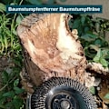 Miniatyrbillede 3 af 5: REMAKE Træskivesliber 125 mm, 3 slibeskiver til formning, slibning og skæring. Hjul til vinkelslibere,