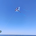 Miniatyrbillede 3 af 5: Drager-drage til børn og voksne, nem at flyve drage til begyndere
