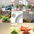 Miniatyrbilde 5 av 5: Vekstlys, Fullspektrum Vekstlys, Høydejusterbart Vekstlys med 2/4/8H Auto PÅ/AV Timer, 4