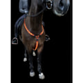 Miniatyrbillede 3 af 5: LED brysthest. GENOPLADELIG. PONY/COB