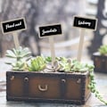 Miniatyrbild 5 av 5: Växtmärken för grönsaksodling, Miniatyrträskivor för växtmärkning