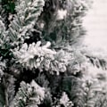 Miniatyrbillede 2 af 5: Juletræsflokning, juledekorationstræ med snefnugscene (120 cm-100T flokningstræ)