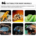 Miniatyrbillede 4 af 5: E27 75W Keramisk Varme Pære Hvid Keramisk Varmelampe 220-240V Infrarød Varmelampe til Kylling Reptil Skildpadde Hvalp Kanin Terrarium (2 stk)