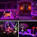 Pikkukuva 4 / 5: LED Gypsophila Party -valot 10 metriä 100 valoa jatkopistokkeella (violetti)