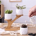 Pikkukuva 3 / 4: 3 kpl/setti Mehitäiskasvien ruukut Bonsai-ruukku Bambu kasviteline setit Sasicare