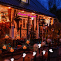 Miniatyrbild 2 av 5: Juldekoration Halloween Atmosfärdekoration LED 3 Meter 20 Lampor Batterilådemodell (Spindelmodell)