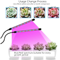 Miniatyrbillede 2 af 5: Vækstlampe / plantelampe med 2 fleksible LED lysstofrør