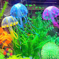 Miniatyrbillede 3 af 5: Goplefisk Lampe Akvarium Fluorescerende Simulation 6 Stykker, Medium Størrelse, En af Hver Farve