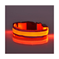 Pikkukuva 1 / 5: Ladattava LED-koiranpanta