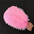 Miniatyrbild 1 av 4: 1~50-pack 30-35 cm Stora strutsfjädrar plymer hantverk bröllop festdekorationer Rosa Pink 50 pcs