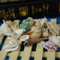 Miniatyrbillede 5 af 10: 120g Naturlig Turbo Seashell Havsnegl Eremitkrebs Hus Akvarium Praktiske Skaller Kunsthåndværk Dekorationer Rekvisitter Mennesker Ingen Mennesker Sted