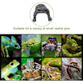Miniatyrbillede 2 af 5: Reptil terrarium med klatreplatform i harpiks til at gemme sig