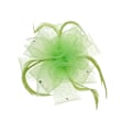 Miniatyrbild 3 av 5: 1/2 Bröllop Brud Dam Prom Ros Fjäder Fascinator Hårklämma Lime Grön Lime Green 1 Set