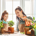 Miniatyrbillede 2 af 5: Sprayflaske A pakke med 3 sprayflasker 500ml justerbar tom plastbeholder, bruges til rengøringsopløsning, havearbejde, kæledyr, planter,