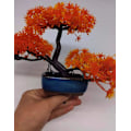 Miniatyrbillede 3 af 5: Rektangulær kinesisk bonsaikrukke mørkegrøn glaseret planter