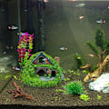 Miniatyrbillede 5 af 6: Akvarium Dekoration Hobbit Hus Betta Skjulested Hule