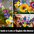 Miniatyrbillede 4 af 5: Vildblomstbuket, lavendel og gerbera, voksenkit, gaveideer, botanisk samling Flowers