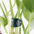 Miniatyrbillede 5 af 5: Pakke med 100 orkidéklips, planteclips til orkideer