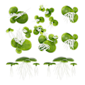 Miniatyrbillede 2 af 2: 90 stk. Mini Fake Andefoder Kunstig Flydende Andefoder Akvarium Simuleringsplanter（2.50X2.50X2.50CM，Som Vist）