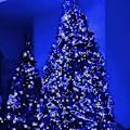 Miniatyrbillede 4 af 5: Julemini-lysstreng, 50 LED-lysstreng med UL-certificering Blue