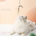 Miniatyrbild 4 av 8: Simulerad fågel interaktiv katt leksak Rolig fjäderfä B（Suction cup style）