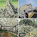 Miniatyrbild 4 av 5: 3x5m 3x8m 3x10m 4x5m Förstärkt kamouflagenät Pool Strandpaviljong Trädgårdssolskydd Kamouflageväv Nät 7 Färger Svart black 4x4m