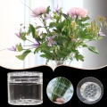 Miniatyrbillede 3 af 5: Ikebana spiralstængelstativ, ikebana spiralstængelstativ, blomsterspiralstængelstativ, DIY blomsterarrangementstativ, spiralblomststængelstativ