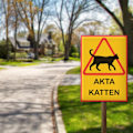Miniatyrbild 4 av 4: Katt Skylt / Varningsskylt Katt - Skylt MultiColor 15x21 - AKTA KATTEN MultiColor