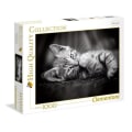 Miniatyrbild 3 av 3: 1000 bitars pussel - CLEMENTONI - Kitten aille - Djur - Vuxen - Unik Unik